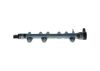 Distributor Pipe, fuel -