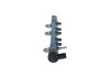 Distributor Pipe, fuel -