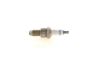Spark Plug TRANSPORTER IV , A6 (4A, C4)