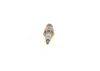 Spark Plug TRANSPORTER IV , A6 (4A, C4)