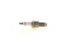Spark Plug TRANSPORTER IV , A6 (4A, C4)
