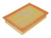 Filter, cabin air Fendt (Traktoren) F 178 810 130 040