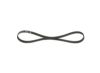 V-Ribbed Belt 5PK925