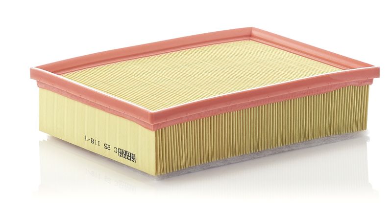 Air Filter Citroen C4 2.0 16v