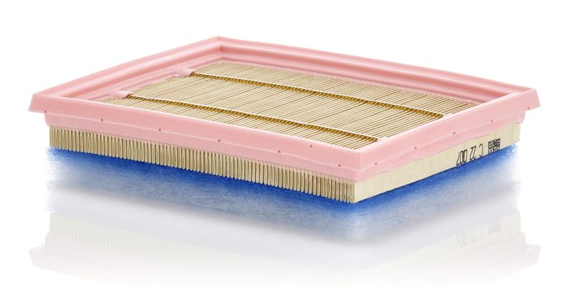 Air Filter BMW/Mini PA3490