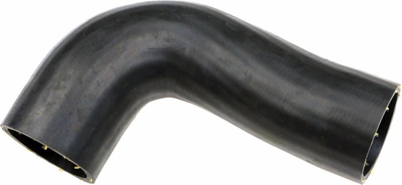 Radiator Hose -