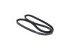 V-Belt 13X1175