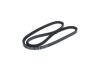 V-Belt 13X1175