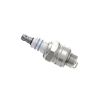 Spark Plug -
