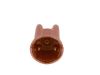 Distributor Cap -