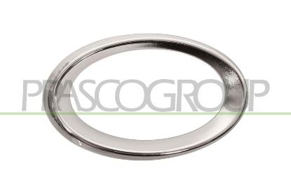 Frame, front fog light -