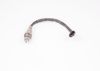 Oxygen Sensor -