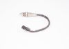 Oxygen Sensor -
