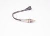 Oxygen Sensor -