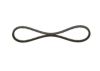V-Belt 10X800