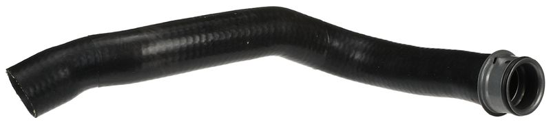 Radiator Hose -