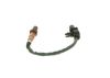Oxygen Sensor Smart