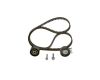 Water Pump & Timing Belt Kit Citroen, Peugeot