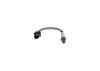Oxygen Sensor -