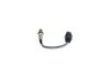 Oxygen Sensor -