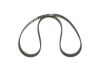 Timing Belt -
