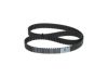 Timing Belt -