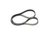 Timing Belt -