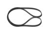 Timing Belt -