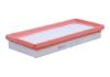 Air Filter Smart