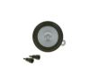 Signal Horn -