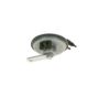 Signal Horn -