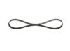 V-Ribbed Belt BMW - 11 28 7 631 822 - 4PK841