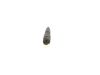 Nozzle and Holder Assembly -