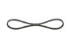 V-Belt -