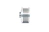 Alternator Freewheel Clutch -