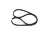 Timing Belt -