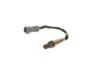 Oxygen Sensor -
