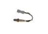 Oxygen Sensor -