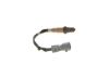 Oxygen Sensor -