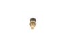 Sensor, coolant temperature 2R0 919 501 B VW