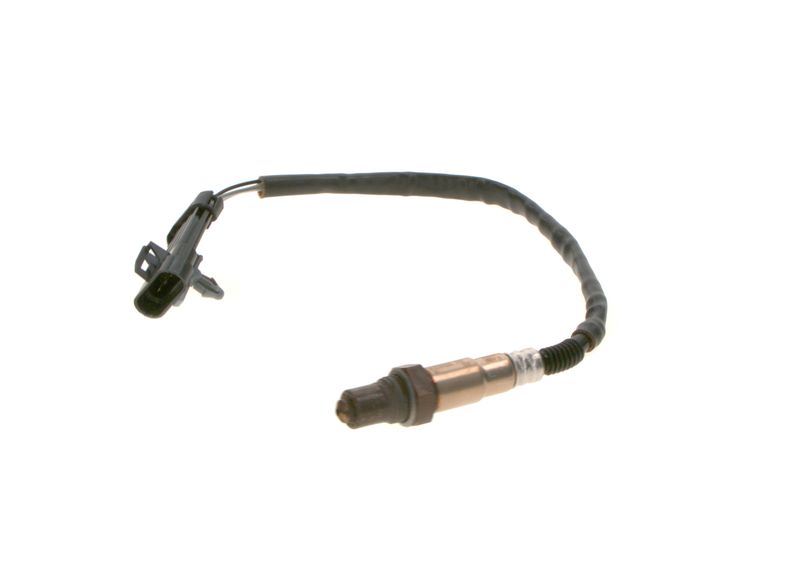 Oxygen Sensor -