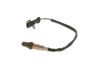 Oxygen Sensor -