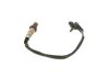 Oxygen Sensor -