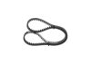 Timing Belt -