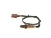 Oxygen Sensor -