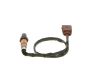 Oxygen Sensor -