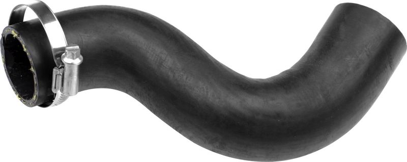 Radiator Hose -