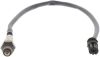 Oxygen Sensor -