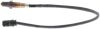 Oxygen Sensor -