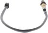 Oxygen Sensor -